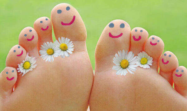 Qu'est ce que la corne?