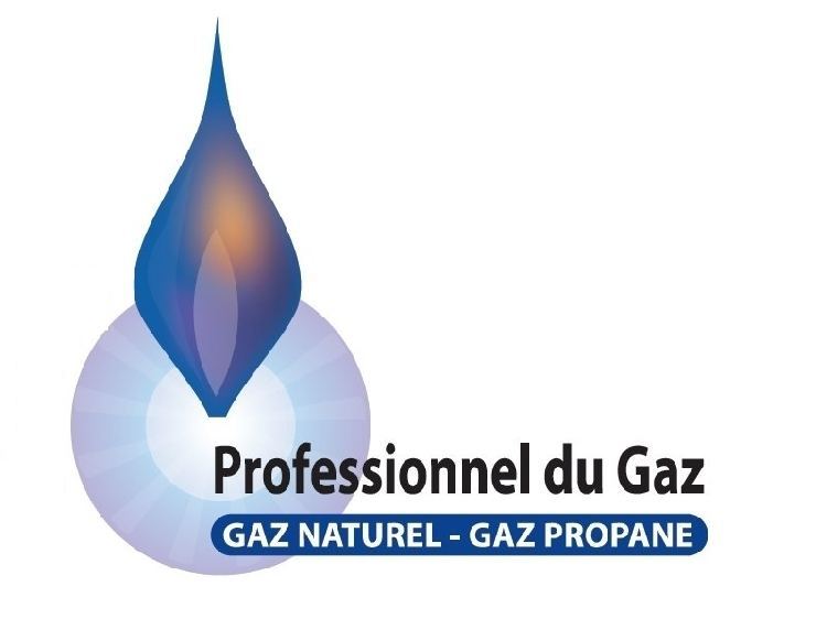 PGN GAZ 2016