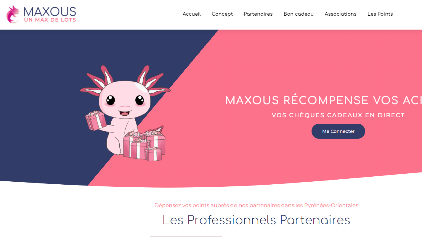 graphiste-cergy-95000-logo-site-internet-flyer-webdesigner-communication