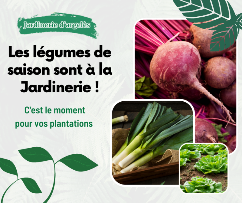 graphiste-cergy-95000-logo-réseaux-sociaux-flyer-webdesigner-communication