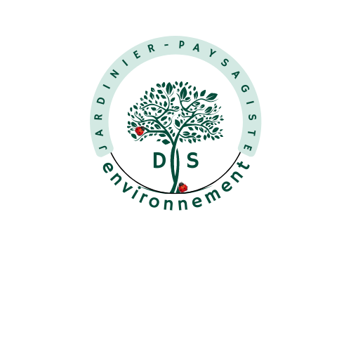 Logo DS Environnement