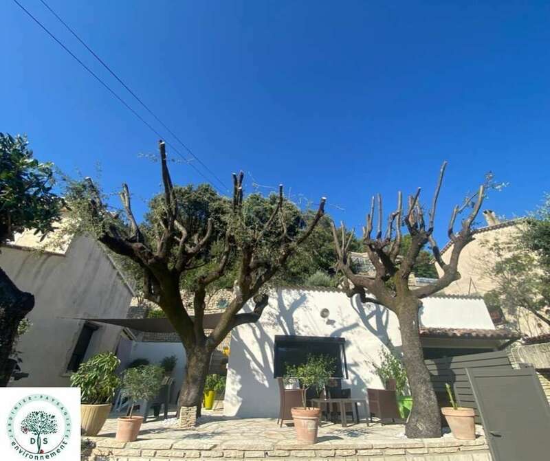 b7207e11-5938-4179-b2b7-2c4ef708235c