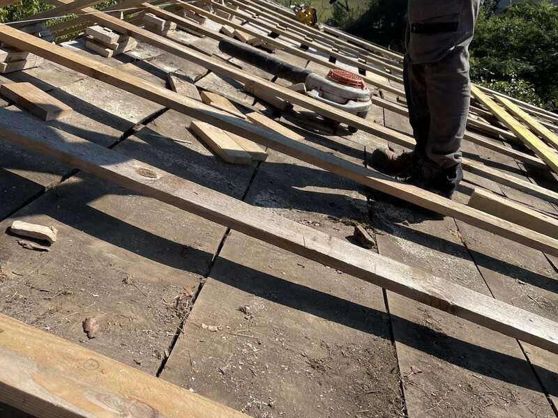 491f6117-a546-49ea-8149-82c980a92098