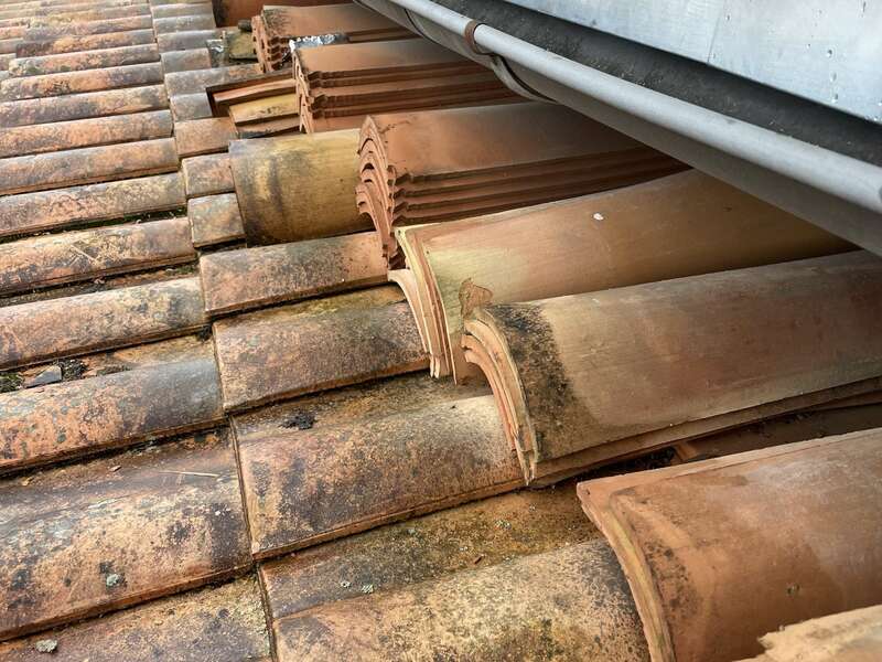 f0fff871-9d02-4af8-9cb1-63c63d24c6f5