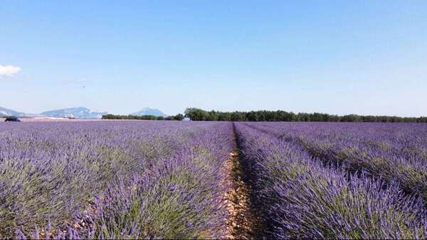 Tarification dynamique en location saisonnière : comment ça marche et pourquoi ça change tout en Provence