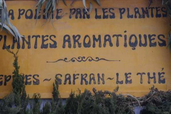 La poésie par les plantes