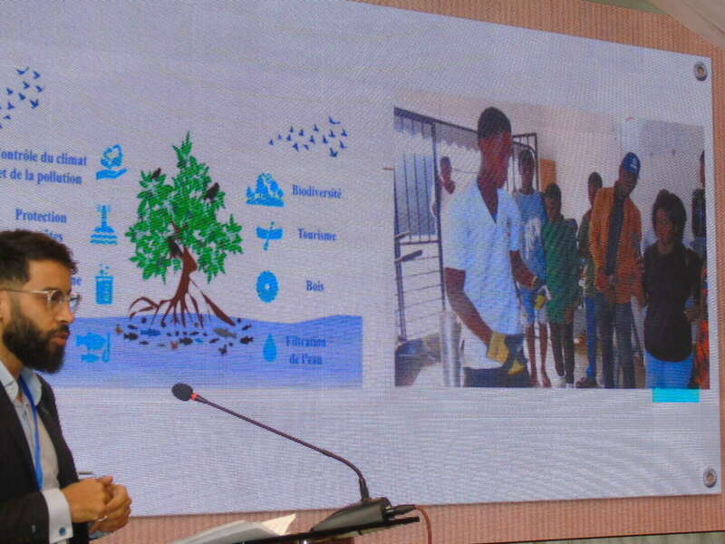 452619000_122179391360071674_7868043494464471685_n