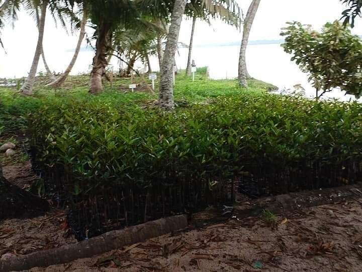 441928138_1334056347467347_2305094263249598455_n