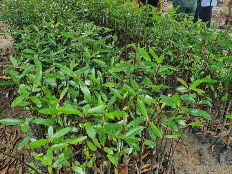 448023898_1349616849244630_2570216819364864132_n