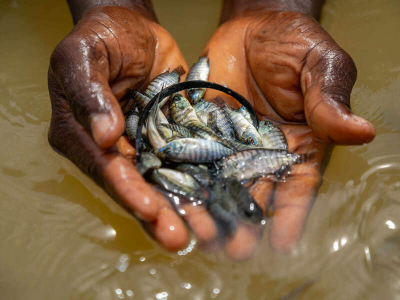 448029796_1350177799188535_4431202087037800444_n