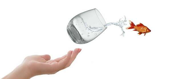 Pourquoi le changement fait-il si peur ?