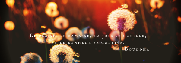 C’est la rentrée : JE, TU, NOUS POSITIVONS !