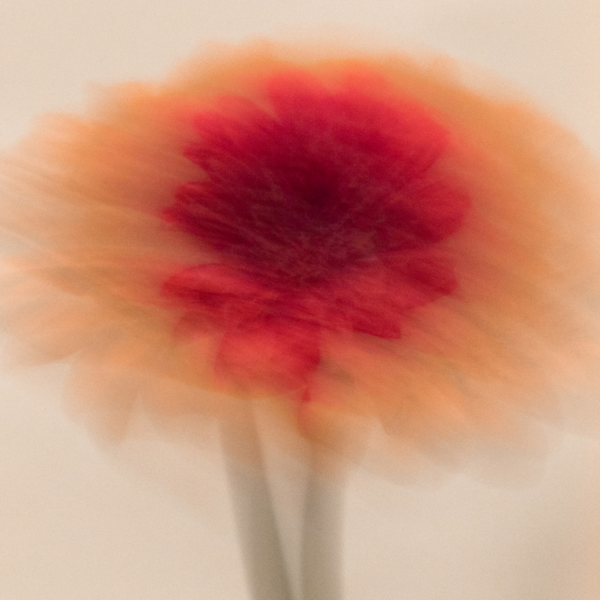 S'éveiller et rester dans son essence