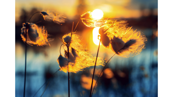 « Le mot du mois » - VACANCES