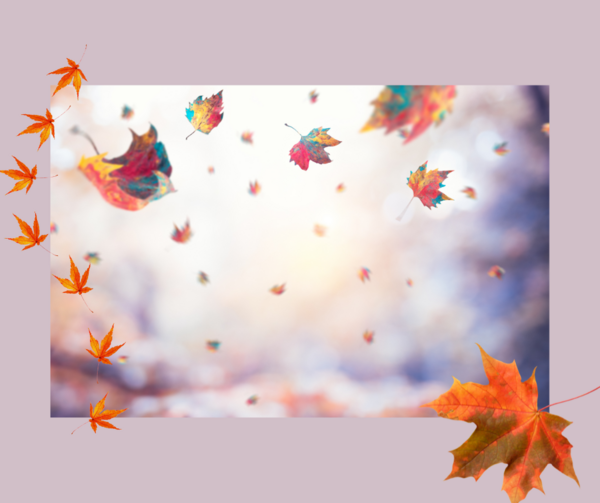 Profiter de l'automne avec énergie