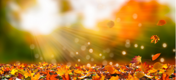 La bonne rentrée pour ne pas perdre pied