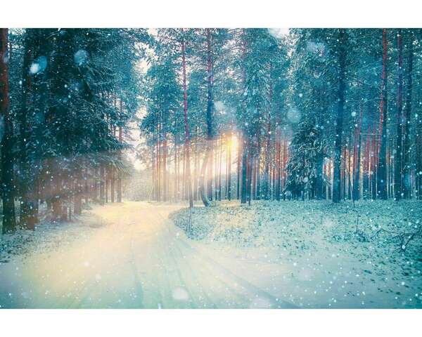 Rêver à n'en plus finir