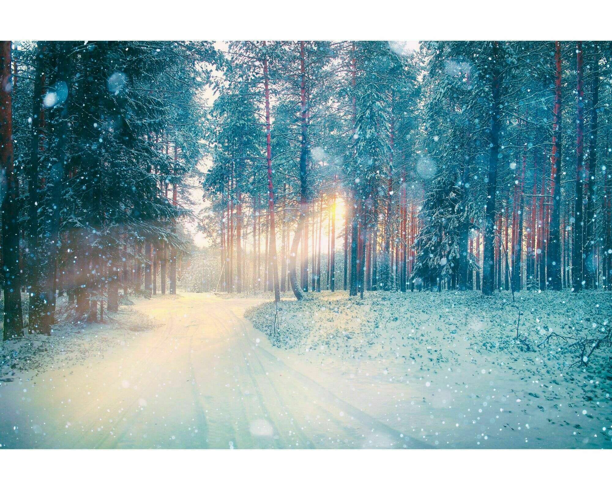 Rêver à n'en plus finir | Blog