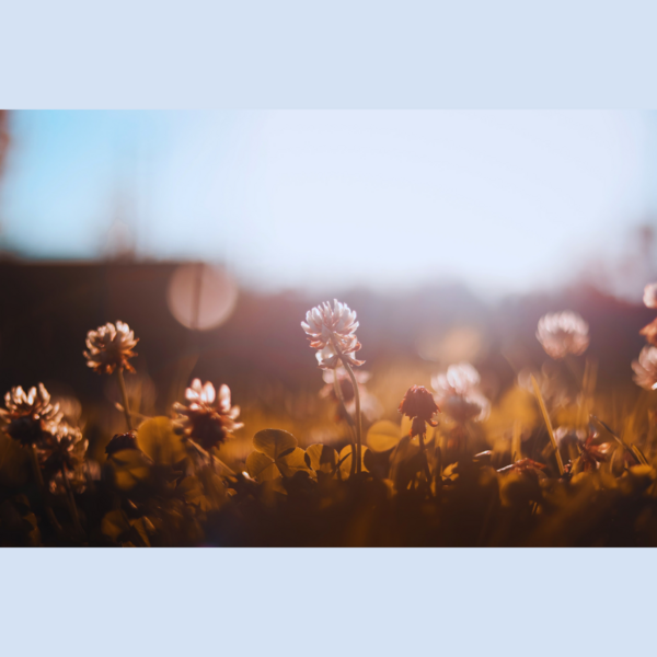 Rester ensemble unis·es