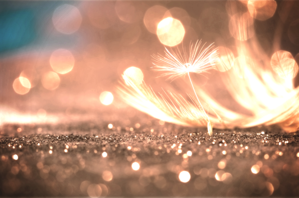 Ces injonctions qui nous enferment 