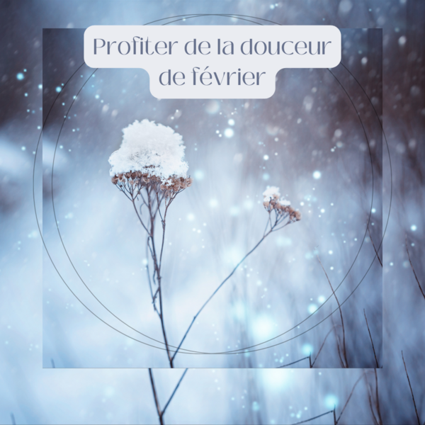 Profiter de la douceur de février