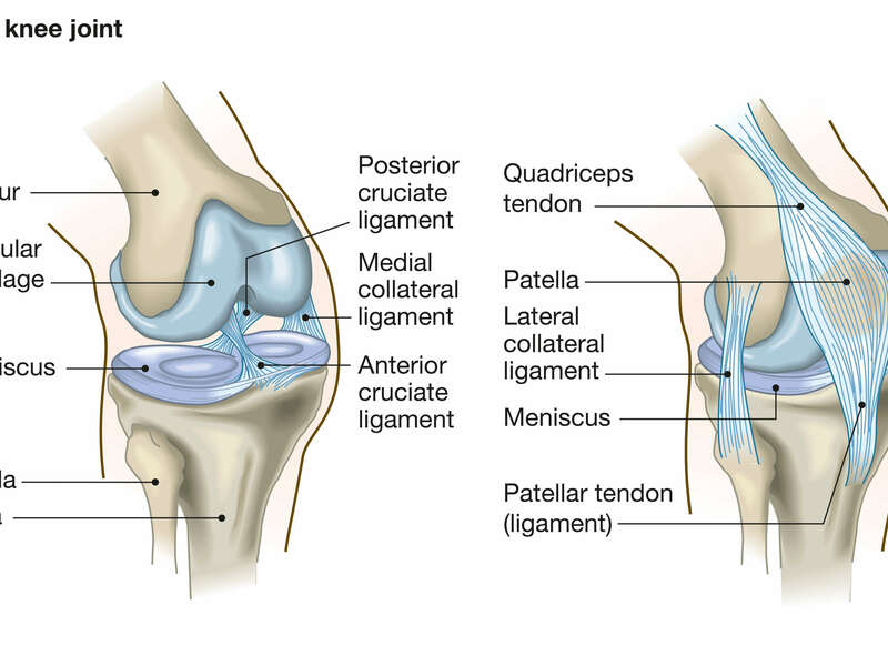 adobestock_204534760