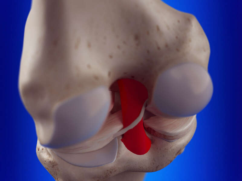 adobestock_203411850