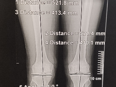 capture_d_ecran_2024-10-18_093856