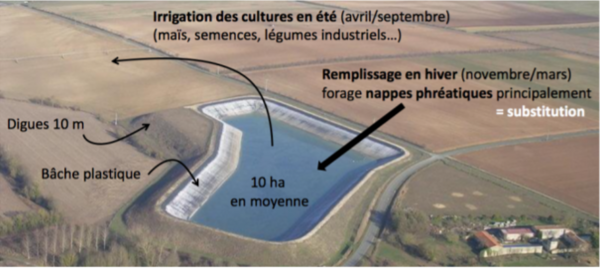 Mégabassines, mégaproblème ou simple phénomène médiatique ?