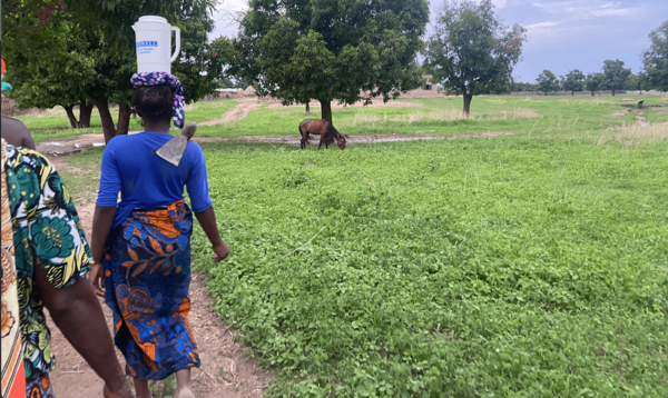 Pendant les vacances, le corps à Trappes, la tête au Sénégal