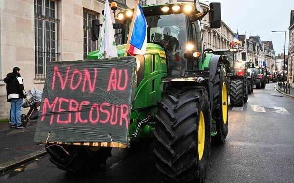 Accords avec le Mercosur : qui sont les perdants et les gagnants dans le monde agricole ?