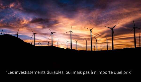 Renoncer au dividende fait-il des actionnaires des êtres socialement responsables ?