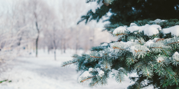 Savoir Nourrir Son Corps Pendant l'Hiver : Conseils de Nutrition