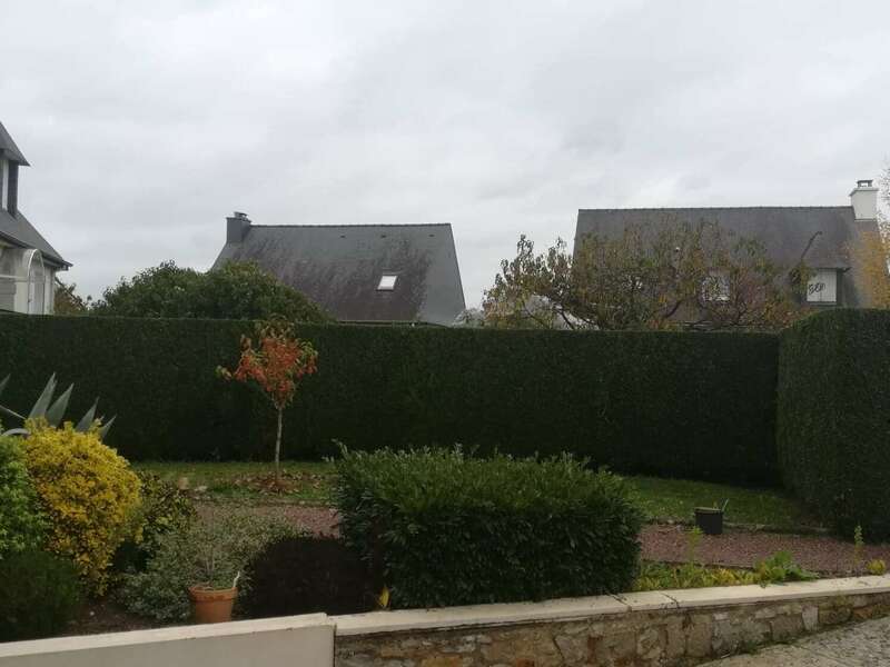 77082210_1259723477568528_1585842946639396864_n20220719-2590715-m66bzw