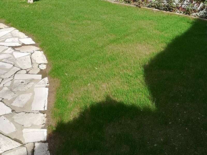 120845233_347396119663014_3538578993933876637_n20220719-2590715-4cdnwh