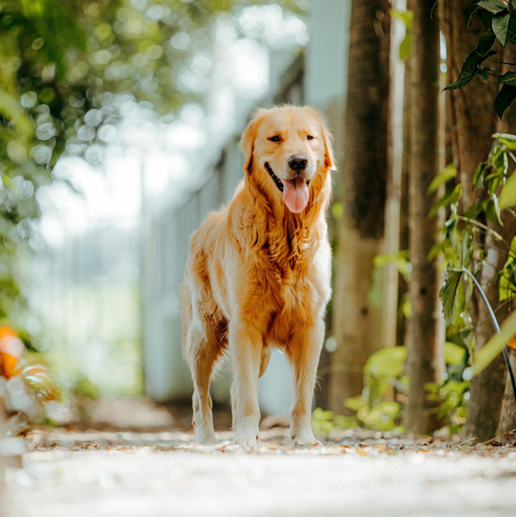 Relaxation et bien-être