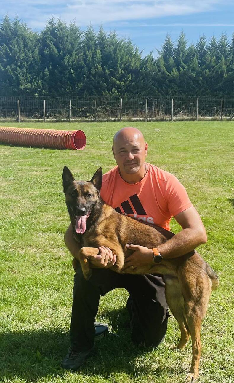 Éducateur canin avec chiens en action