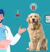 Santé canine