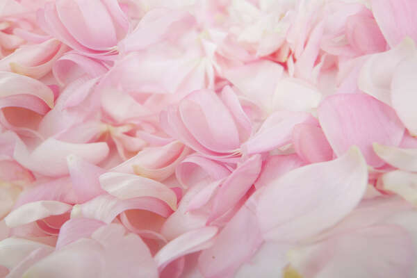 Un appel à une détente ressourçante...