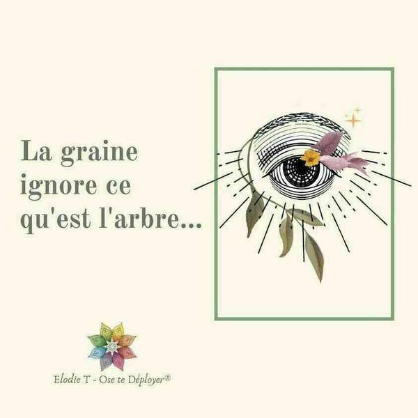 La graine et l'arbre