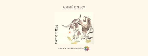 2021 Année du Buffle de métal