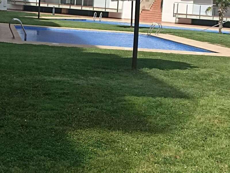 433b8105-bb38-43bd-b56a-d8230620a520