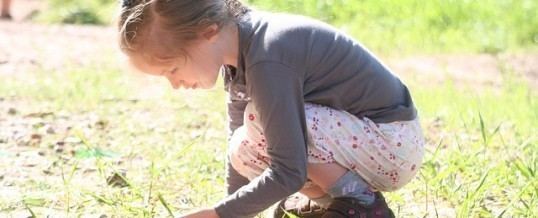 Comment les enfants regardent le monde ?