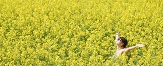 Nourrir sa vie pour ne plus la consommer