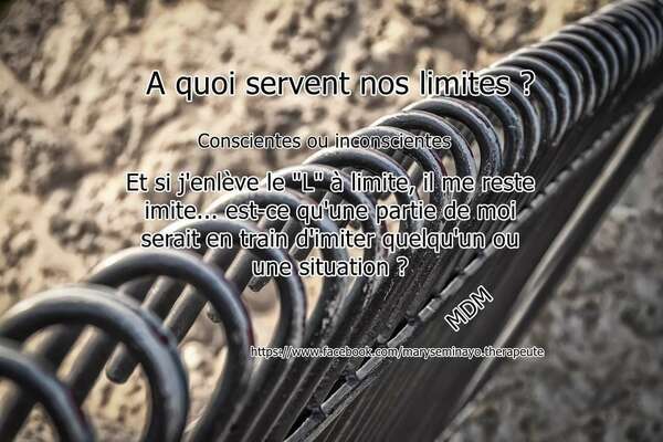 A quoi servent nos limites ?