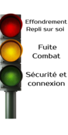 #SystèmeNerveuxAutonome #ThéoriePolyvagale #Psychothérapie #IntelligenceRelationnelle #Psychocorporelle #SNA #SantéMentale #ModeSurvie #Traumas #MayaDumontMinayo #Bruz #Rennes
