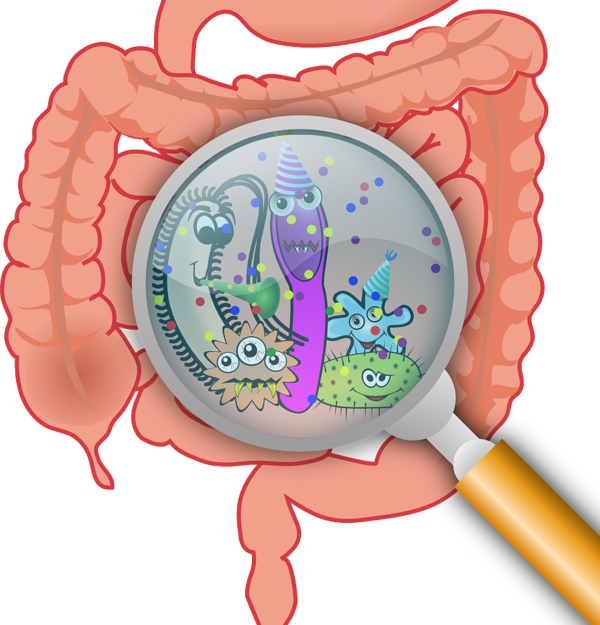 Automassage pour agir sur le transit (constipation, diarrhée)