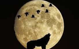 La lune dans tous ses états