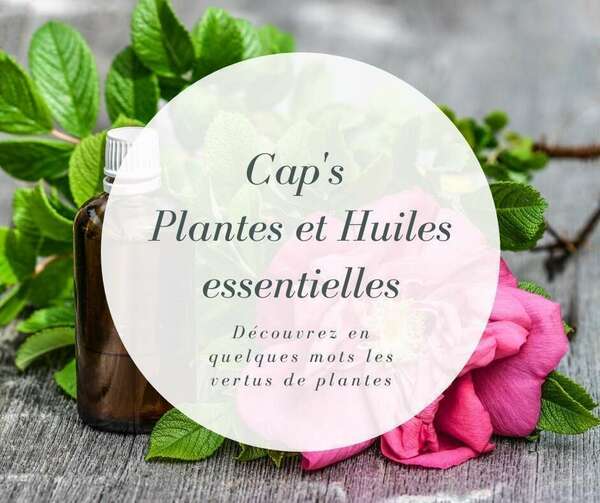 Caps 1 "Plantes & Huiles essentielles"