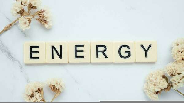 Le métabolisme: clé de la vitalité